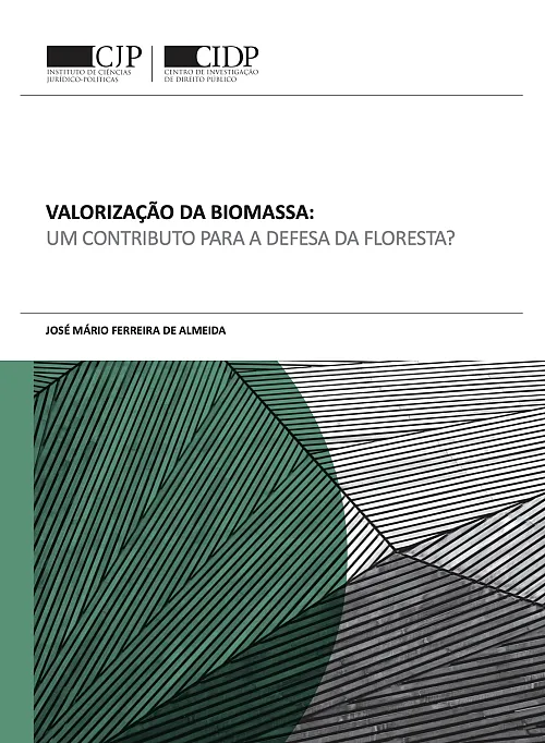 Valorização da biomassa: um contributo para a defesa da floresta?